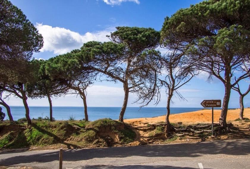 Holiday home Aldeia Acoteias Albufeira
